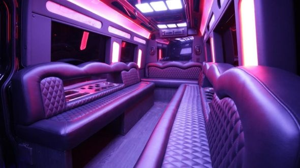 monroe sprinter limo rental inside